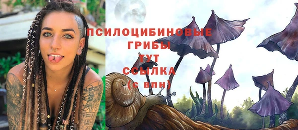 герыч Арсеньев